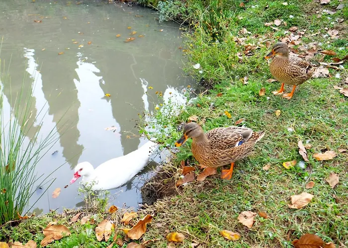 Agriturismo Poggio Leone